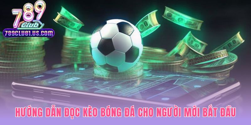 Giải mã các loại cược phổ biến giúp người mới tự tin phân tích