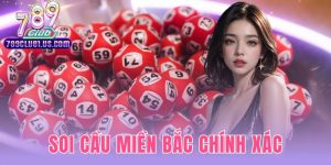 Soi Cầu Miền Bắc Chính Xác